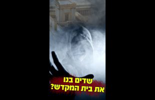 מחובר/ת | ניב דמירל – ציצית