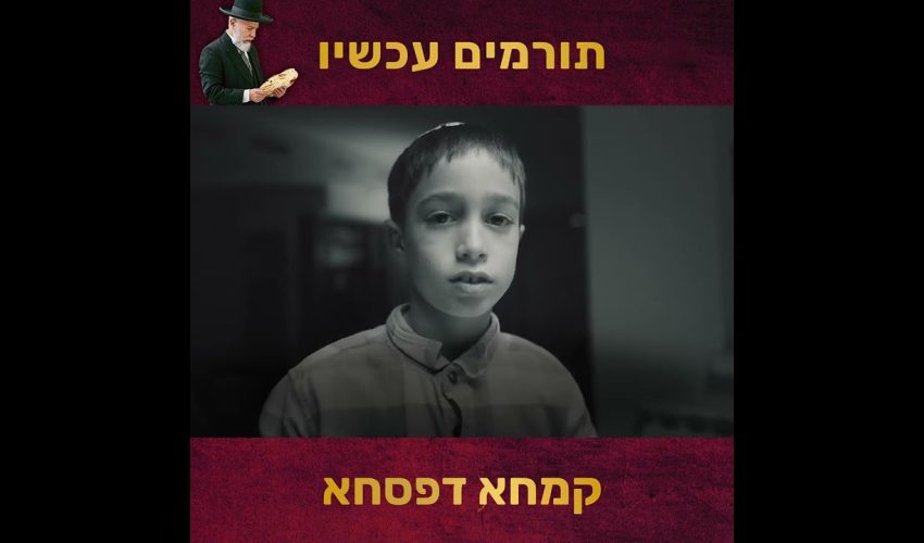 היא לא ידעה שיש לה אח! איך הסודות משפיעים על החיים שלנו? פתוח עם אפרת ברזל