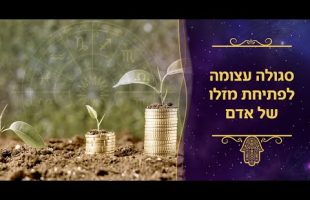 "עשינו היסטוריה, זה תור הזהב של אמריקה" | חדשות צופיה: יום רביעי 6.11.24 | בהגשת: יהודה אהרוני