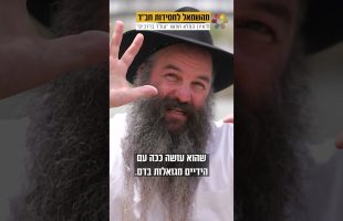 דאחייה על האש: תקיפות מסיביות ברובע היוקרתי | חדשות צופיה: יום רביעי 13.11.24 | בהגשת: יהודה אהרוני