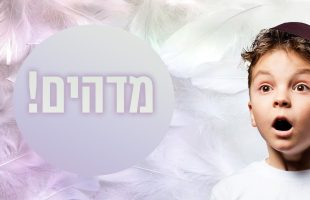 התאבדות?: חבל תליה נמצא בחדרו של אלי פלדשטיין | חדשות צופיה: יום שני 18.11.24 | בהגשת: דקל פלד