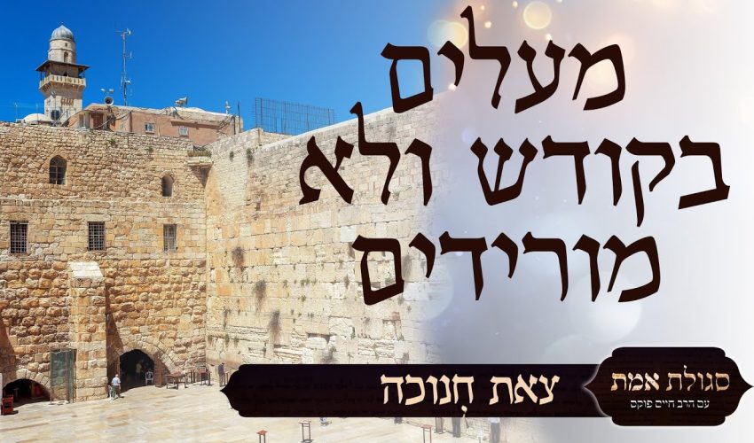 הרב זמיר כהן  – מה עושים ביום החתונה?